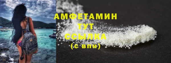 индика Краснотурьинск