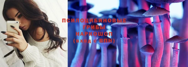 мет Корсаков