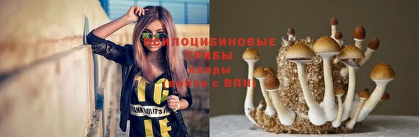 МДПВ Костерёво