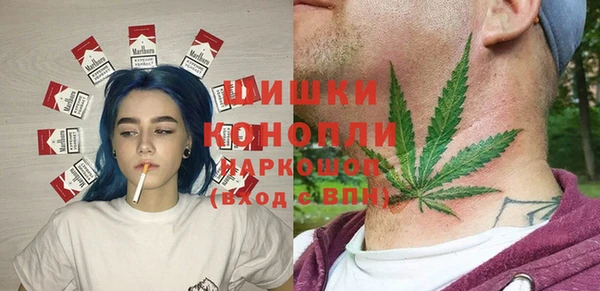 МДПВ Костерёво