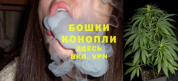 индика Краснотурьинск